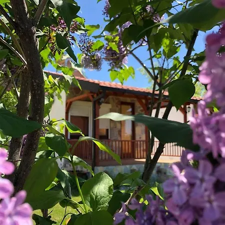 Apartment Karali